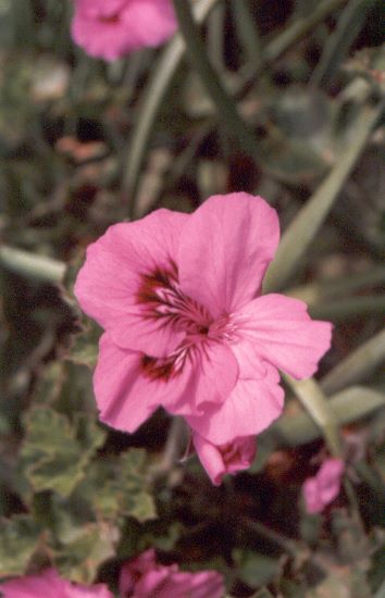 ../Images/200.Road No 1.jpg